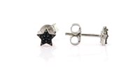 Orecchini Forever Gioielli Donna Stella in Argento Zircone FGOR00356 - FGOR00356